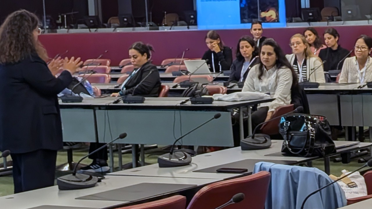 Navigating an Academic Career: Insights from Prof. Arzu Tezvergil-Mutluay
