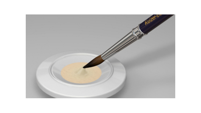 Accessoires voor Veneer Ceramics